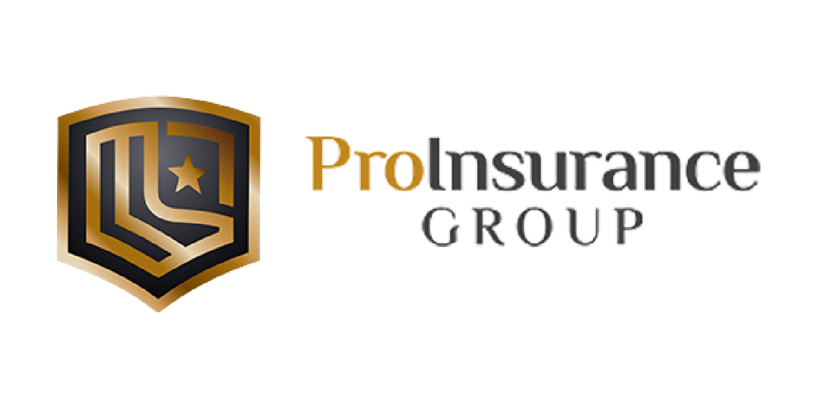 ProInsuranceGroup@2x