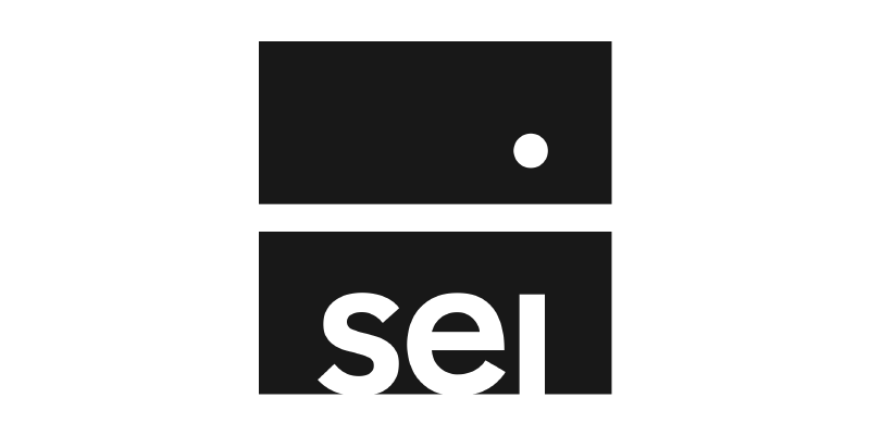 SEI-new