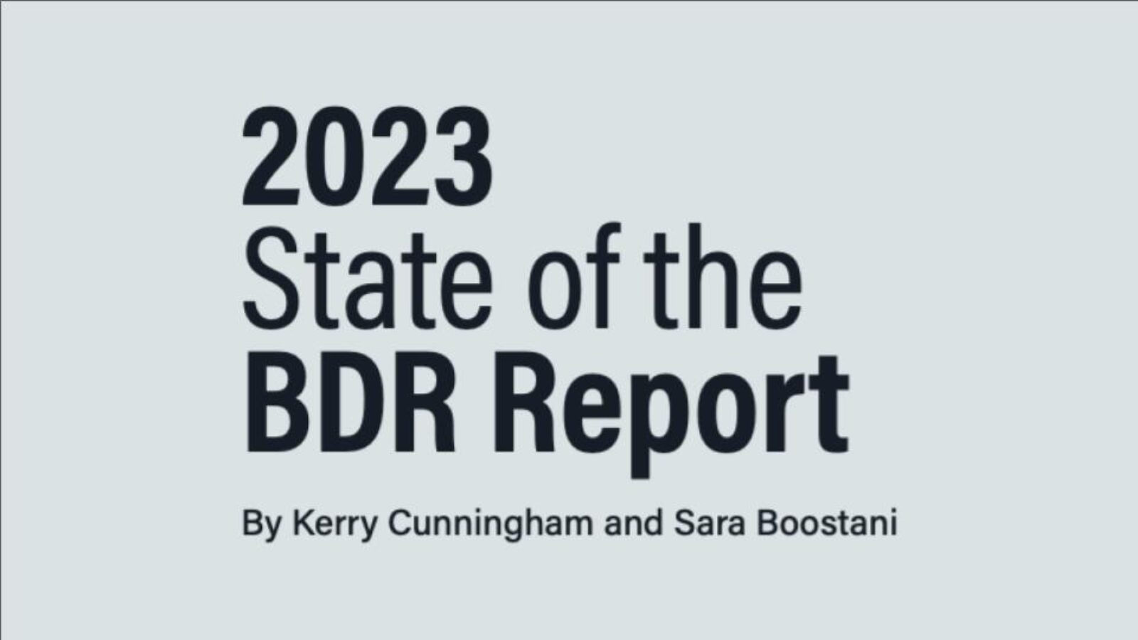 2023 State of the BDR Report thumbnail